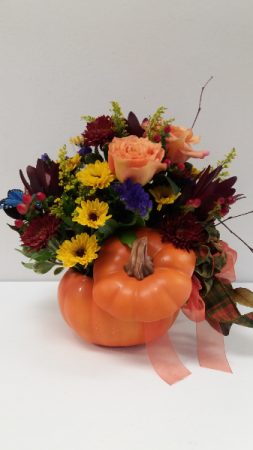 Fall in a punking Fall and thanksgiving