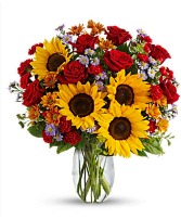 fall in love  Arrangement