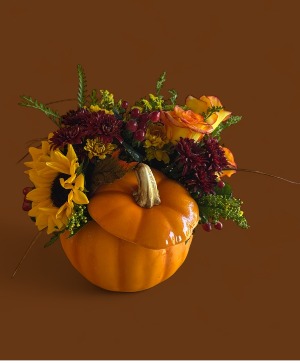 Fall In Love With The Blooms  