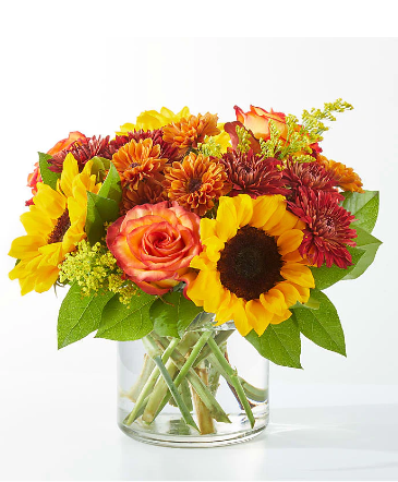 Fall Into Autumn  in Amherst, MA | KNOWLES FLOWER SHOP