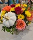 fall into pumpkin Designer's Choice