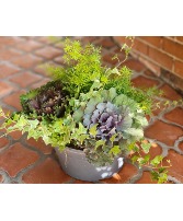 Fall Kale & Ivy Garden 