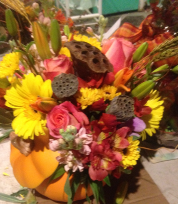 Fall Majesty pumpkin filled Flowers in Pittsfield, MA | NOBLE'S FARM STAND AND FLOWER SHOP