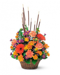 Category Image