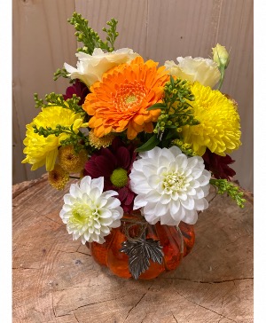 Fall Mini  