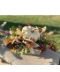 Fall Mix with Blue Silk Arrangement 