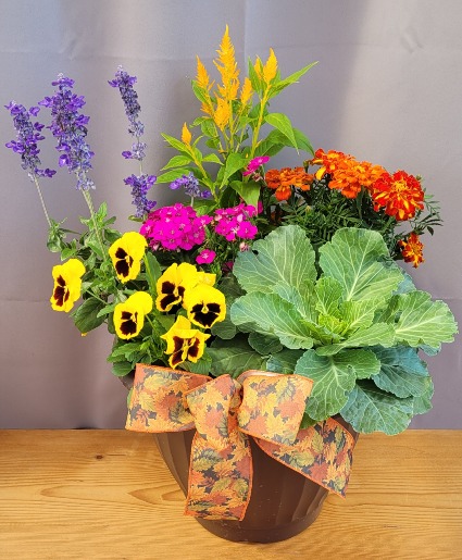 Fall Mixed Annuals Brown Pot Patio Pot