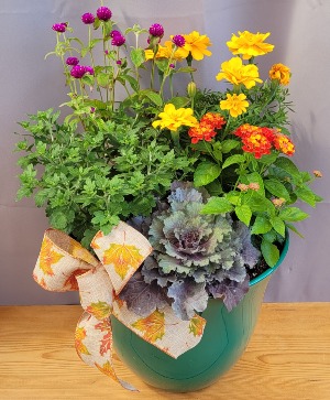 Fall Mixed Annuals Green Pot Patio Pot