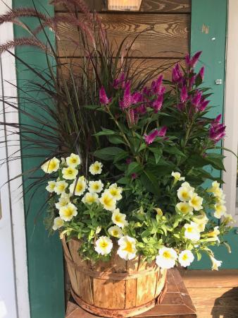 Fall Mixed Planter