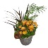 Fall Mum Planter Basket Plant