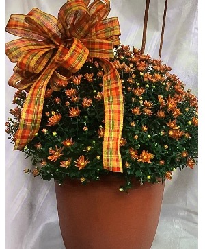 Fall Mum Porch Container with trim Fall Mum