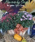 Mums combo Fall Mum Plants
