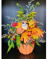 Fall Owl 