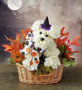 Fall Party Pooch In Basket of Autumn Leaves in Gainesville, FL | PRANGE'S FLORIST