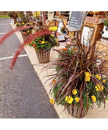 Fall Patio Pot Plant in Vernon, NJ | HIGHLAND FLOWERS