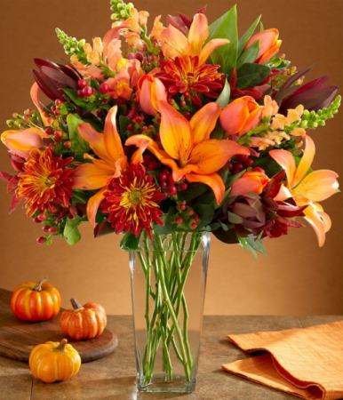 Fall Perfection