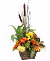 Fall Assortment Basket Plant