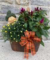 Fall Plant Combo Plants