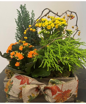 Fall Planter Box Boxed Arrangement in Northport, NY | Hengstenberg's Florist