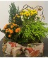 Fall Planter Box 