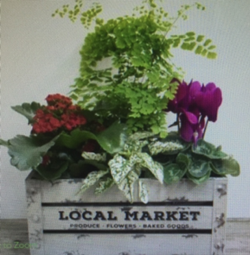 FALL PLANTER BOX planter