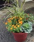 Fall Planter Fall planter