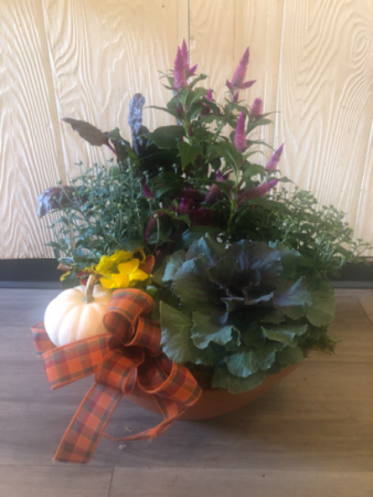 Fall Planter Fall Planter mix assortment of fall plants!!