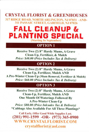 FALL PLANTING SPECIAL MUMS
