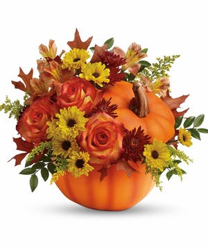 fall pumkin pumkin
