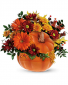 Fall Pumpkin 