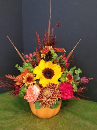 Fall Pumpkin  in Olathe, KS | FLOWER MAN