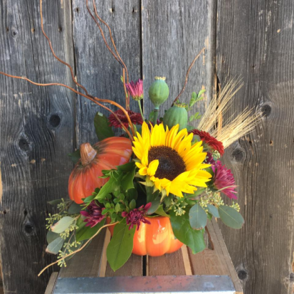 Fall Pumpkin Arrangement