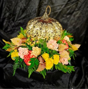 Fall Pumpkin  Fresh cut 