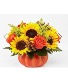 Pumpkin full  Fresh Flowers 