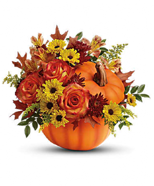 Fall pumpkin  Fresh flowers 