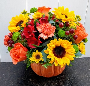 Fall Pumpkin Spice Autumn