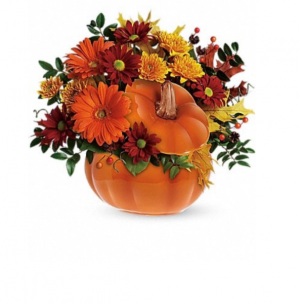 Fall Orange Pumpkin  Thanksgiving some colour/flower substitutions may apply due to availability 