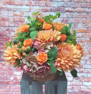 FALL SORBET