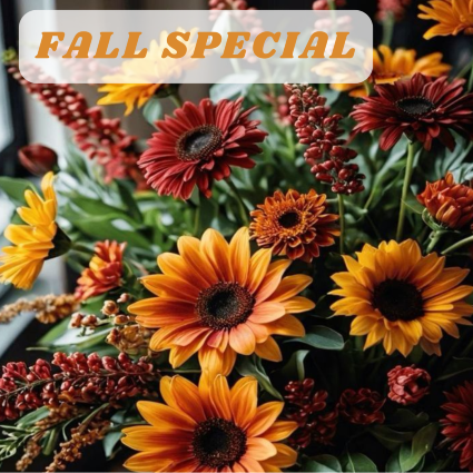 Fall Special Designer's Choice