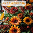 Fall Special Designer's Choice