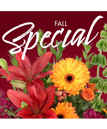 Fall Special Designer's Choice in Oakdale, CA | Oakdale Flowers