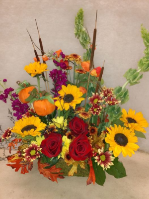 Fall Spectacular 