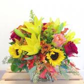 FALL SPLENDOR
