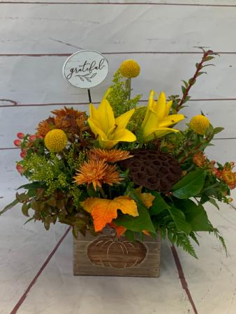 Fall Splendor