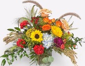 FALL SPLENDOR FALL INSPIRED