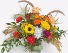 FALL SPLENDOR FALL INSPIRED