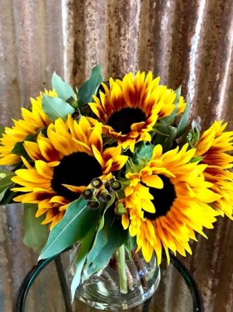 Fall Sunflowers Sunflowers
