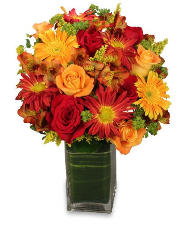 Fall Sunshine Fall/Birthday/Anniversary  in Spring, TX | Spring Trails Florist