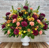 Fall Sympathy 
