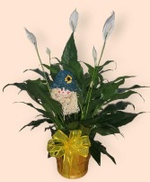 Fall Themed Peace Lily Plant FHF-P212 Plant  Local delivery only